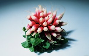 東港市童車童床有限責(zé)任公司