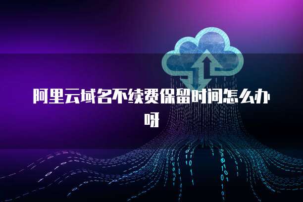 新購服務(wù)器與互聯(lián)網(wǎng)域名注冊問題解決方案
