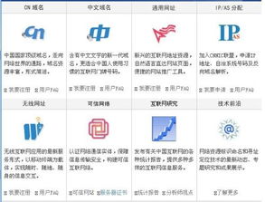 中國互聯(lián)網(wǎng)域名注冊服務(wù) 政策、發(fā)展與挑戰(zhàn)